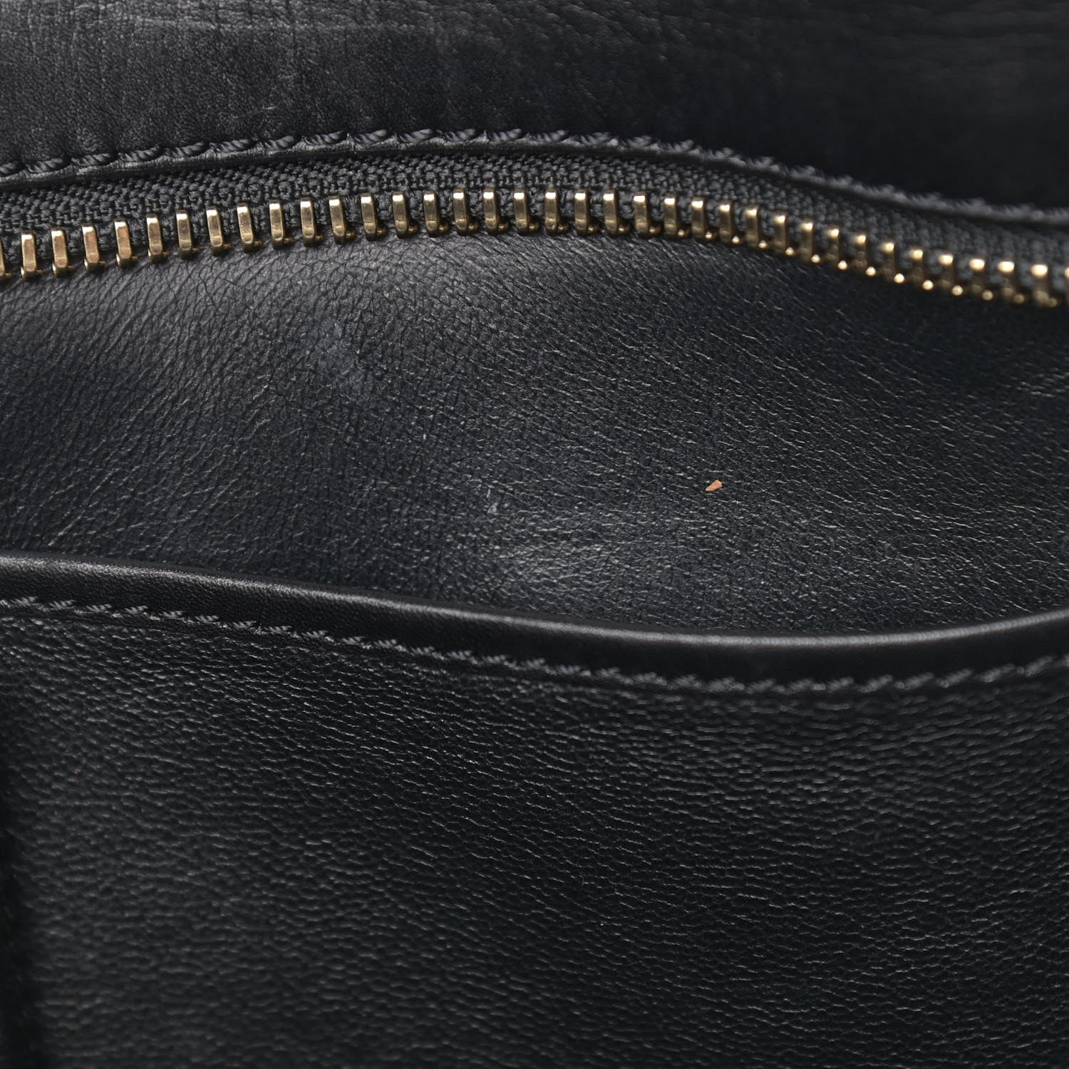 Celine Smooth Calfskin Mini Bi-Color Luggage Forest Black 13 of 22