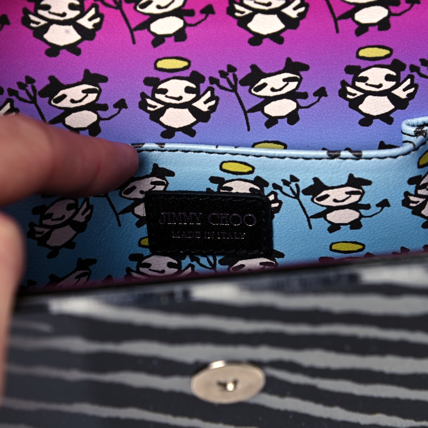 Acrylic Zebra Candy Clutch
