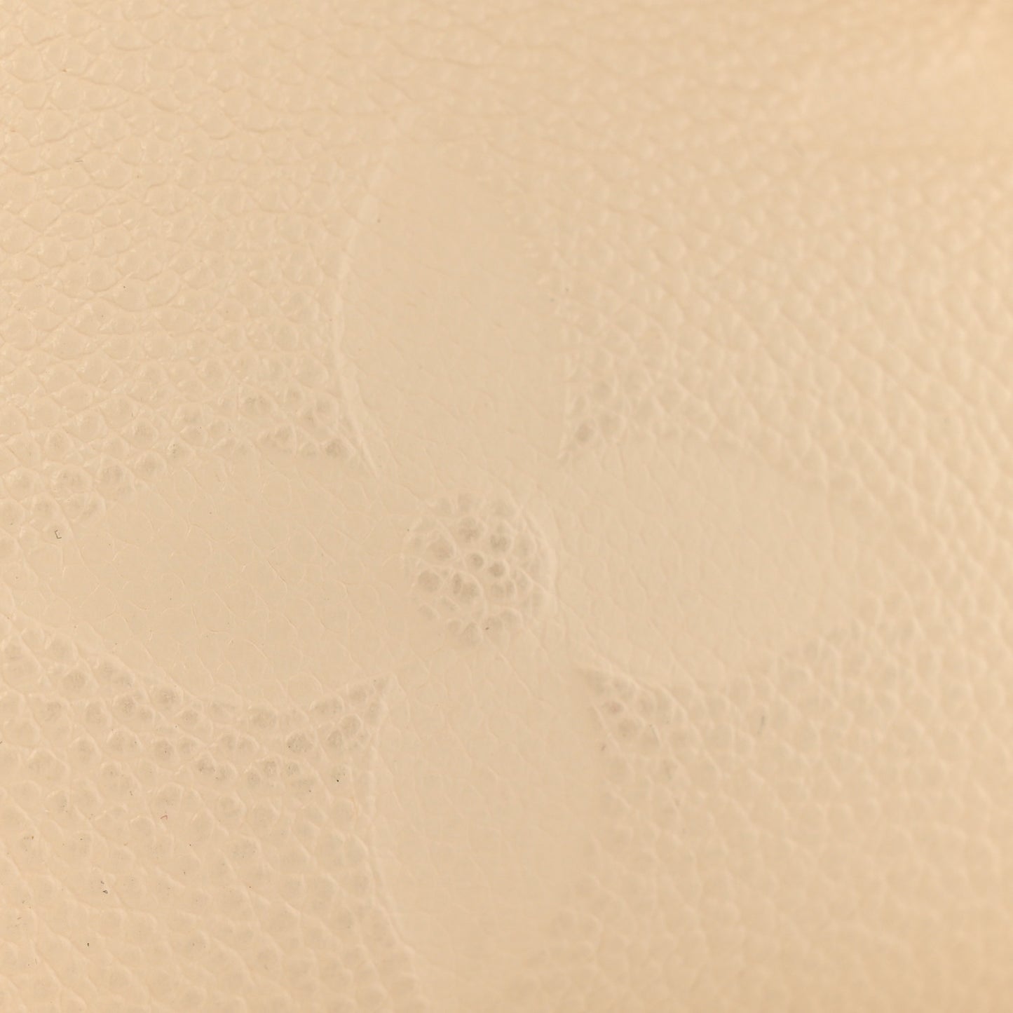 Empreinte Monogram Giant Onthego PM Cream Beige