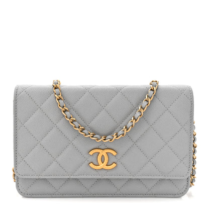 Chanel Caviar Quilted Textured CC Wallet On Chain WOC Grey 1 of 12