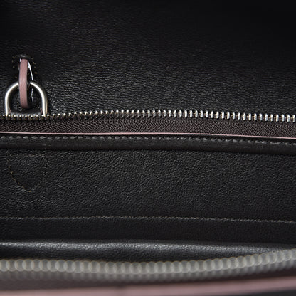 Celine Palmelato Calfskin Mini Belt Bag Espresso 6 of 10