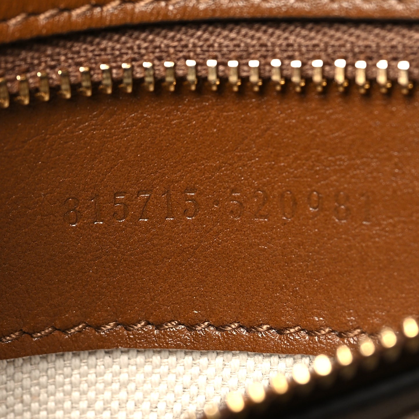 Suede Calfskin Blondie Medium Shoulder Bag Light Brown