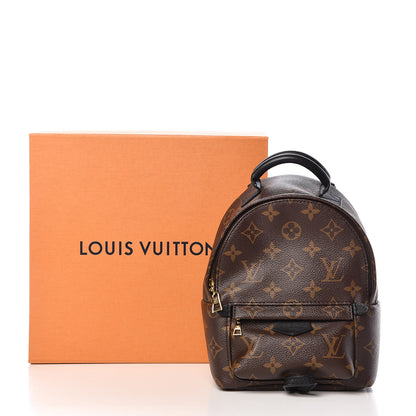 Louis Vuitton Monogram Palm Springs Backpack Mini 15 of 15