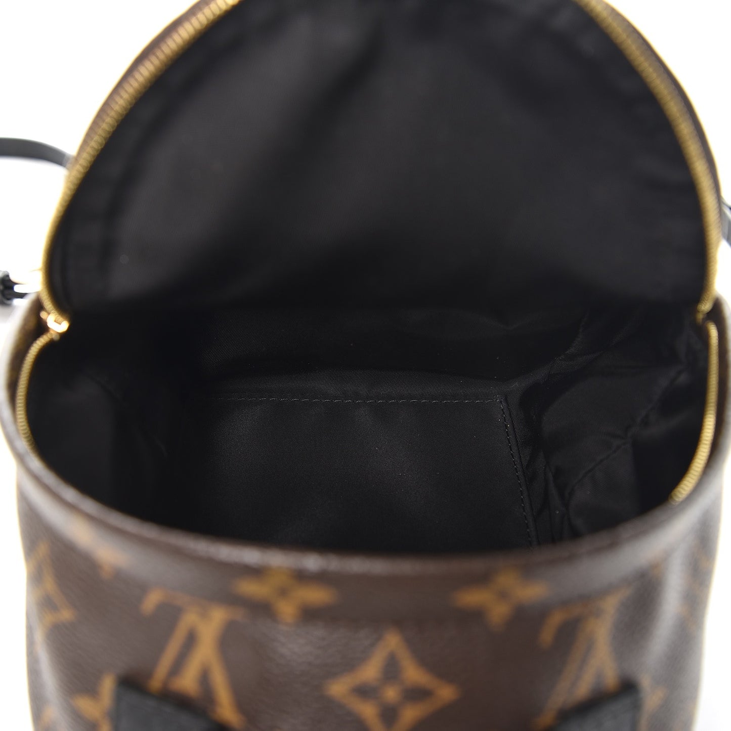 Monogram Palm Springs Backpack Mini