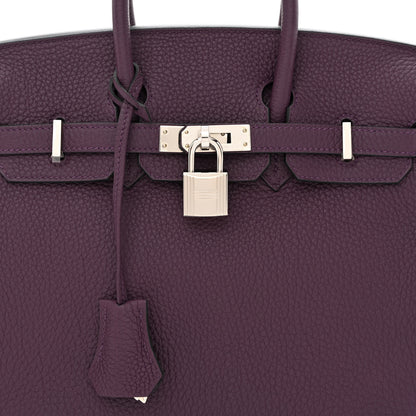 Hermes Togo Birkin 25 Cassis 9 of 12
