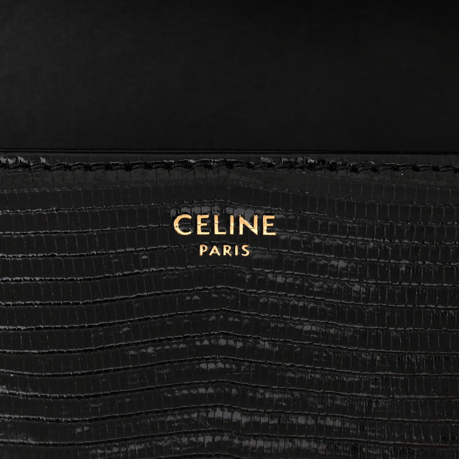 Celine Lizard Teen Triomphe Black 6 of 10