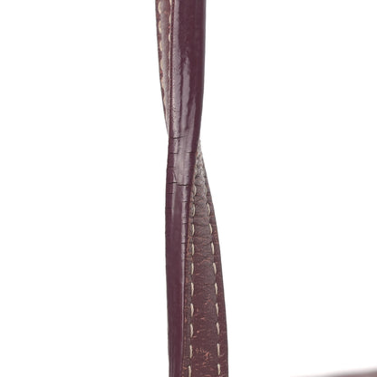 Goyard Goyardine Saint Louis PM Bordeaux 21 of 24