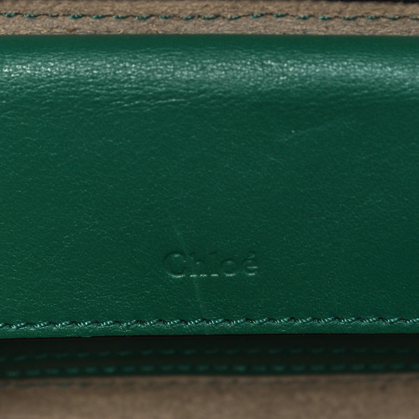 Calfskin Crocodile Embossed Mini C Vanity Bag Woodsy Green