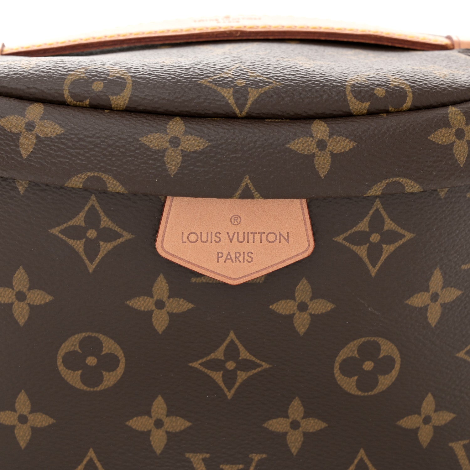 Louis Vuitton Monogram Bumbag 7 of 11