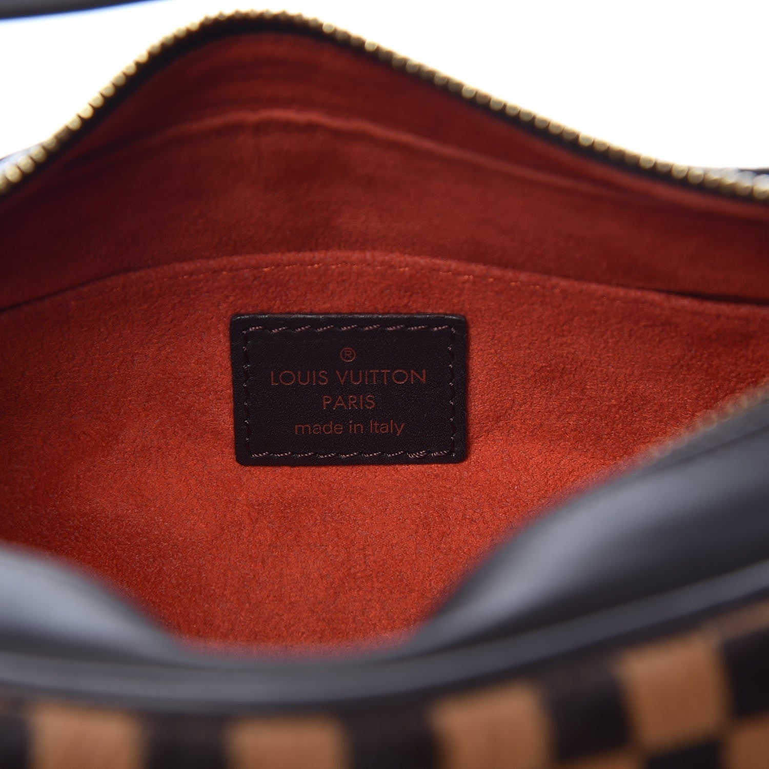 Louis Vuitton Calf Hair Damier Sauvage Tigre 6 of 6