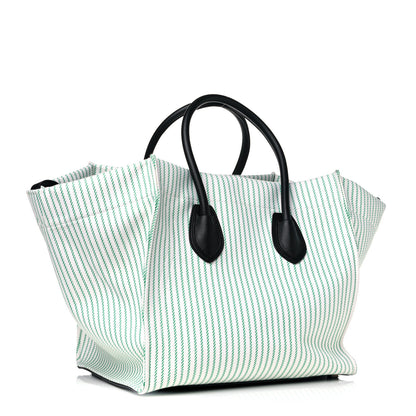 Celine Cotton Canvas Striped Medium Phantom Luggage White Green 2 of 9