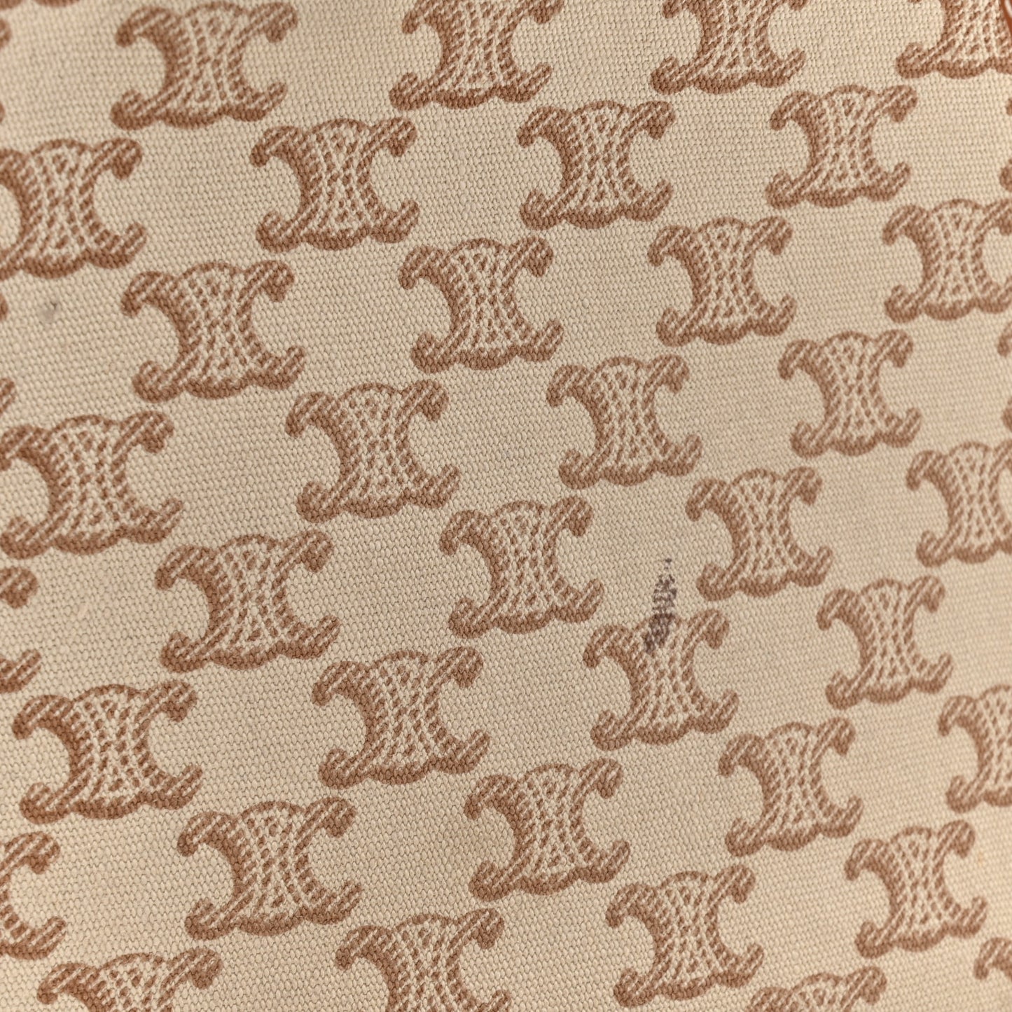 Canvas Calfskin Triomphe Print Small Cabas Thais White