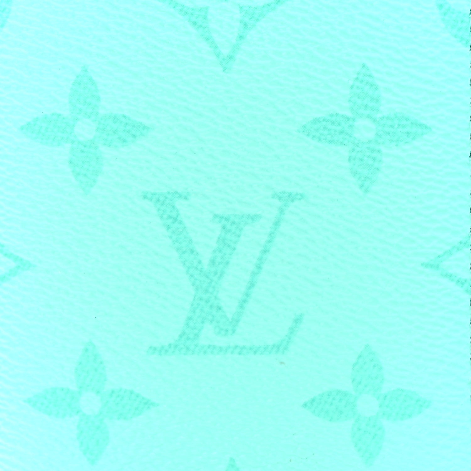 Louis Vuitton Taigarama Pocket Organizer NM Miami Green 7 of 8