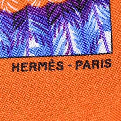 Hermes Silk Brazil Pocket Square 4 of 5