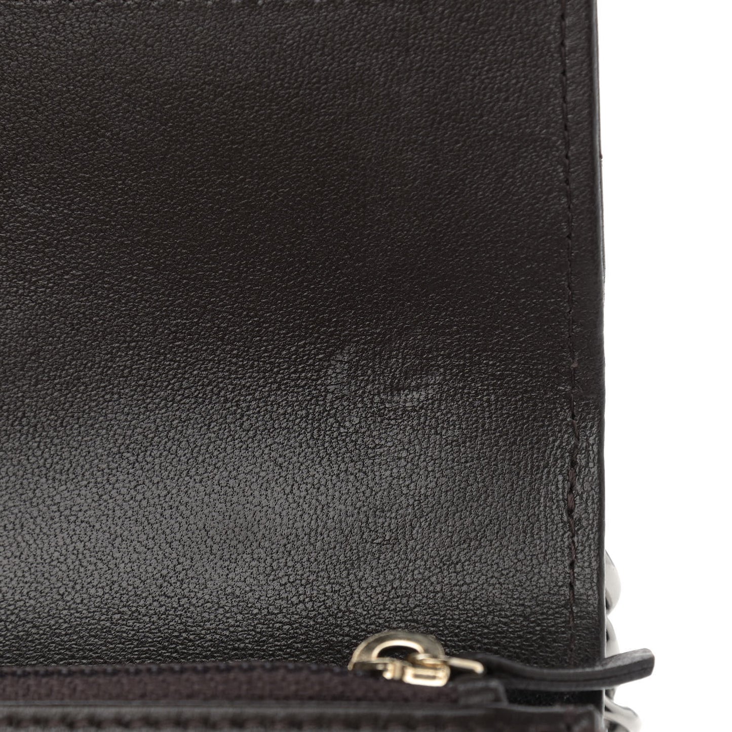 Shiny Goatskin Quilted Chanel 19 Wallet On Chain WOC Dark Brown