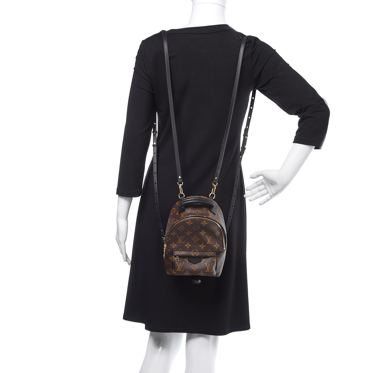 Louis Vuitton Monogram Palm Springs Backpack Mini 3 of 9