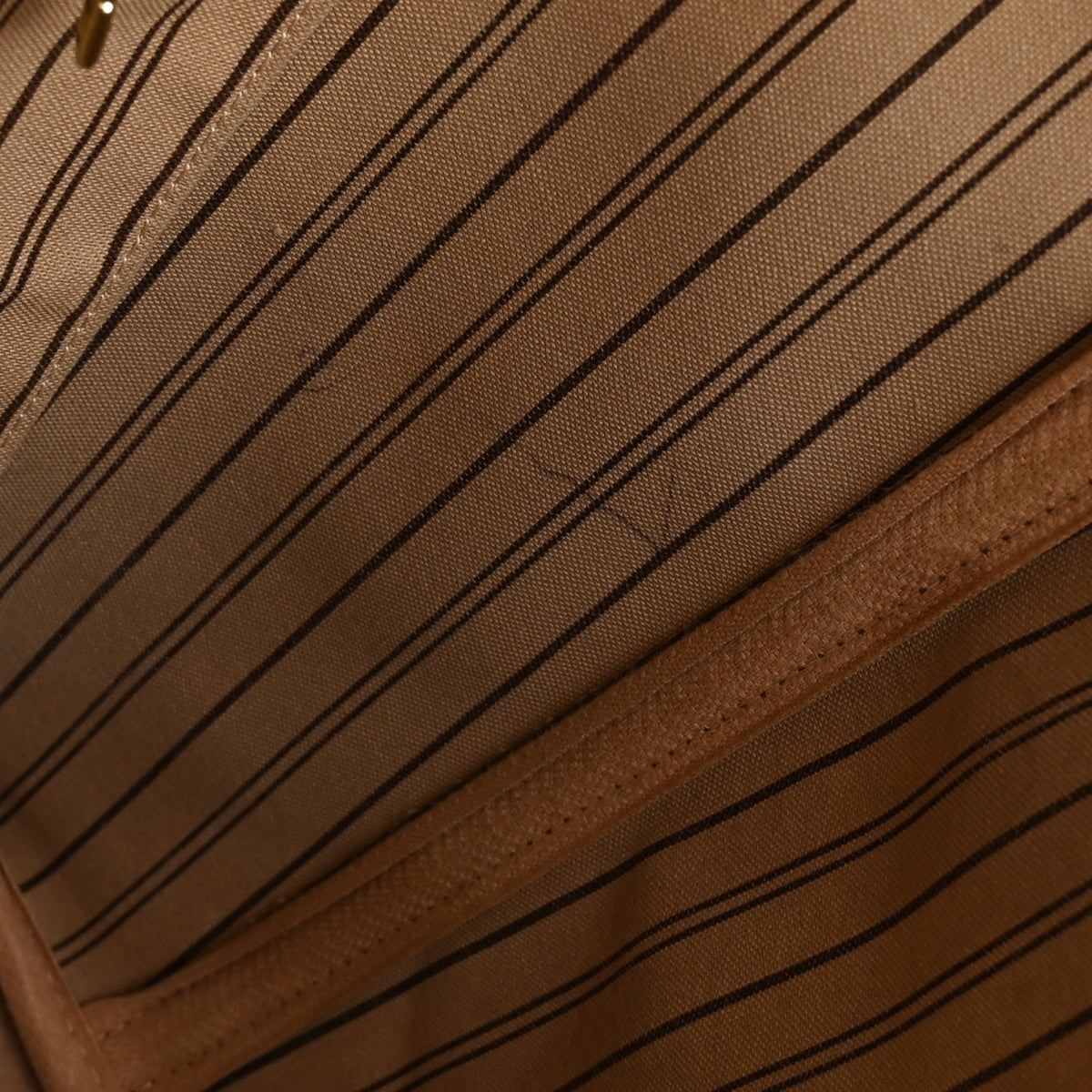 Monogram Neo Neverfull MM