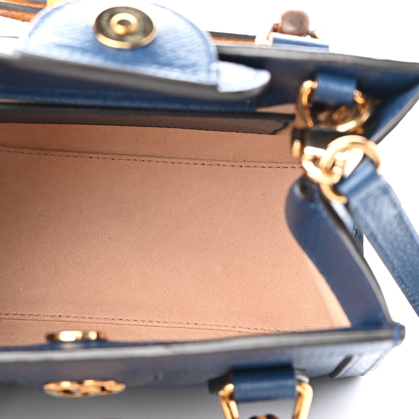 Textured Dollar Calfskin Web Mini Diana Tote Bag Royal Crop
