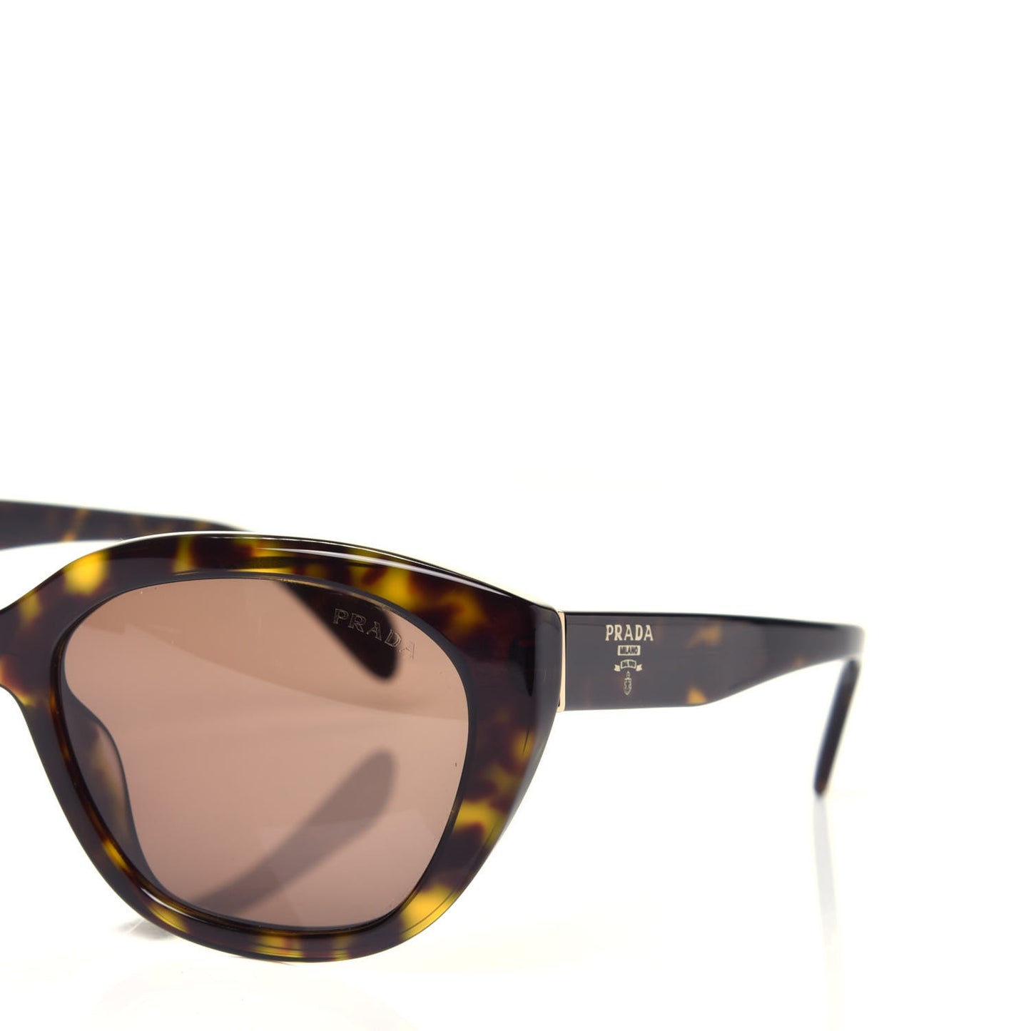 Acetate Sunglasses SPR 16X Tortoise