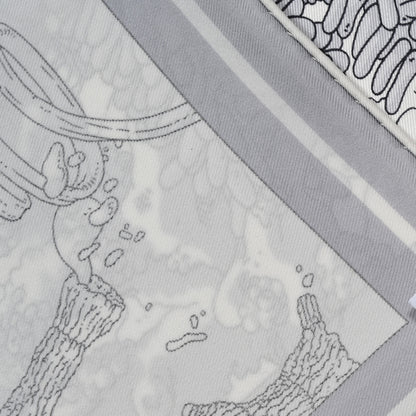 Hermes Vintage Silk Ex Libris Atlantis Scarf 70 White Gris Mastic 3 of 5