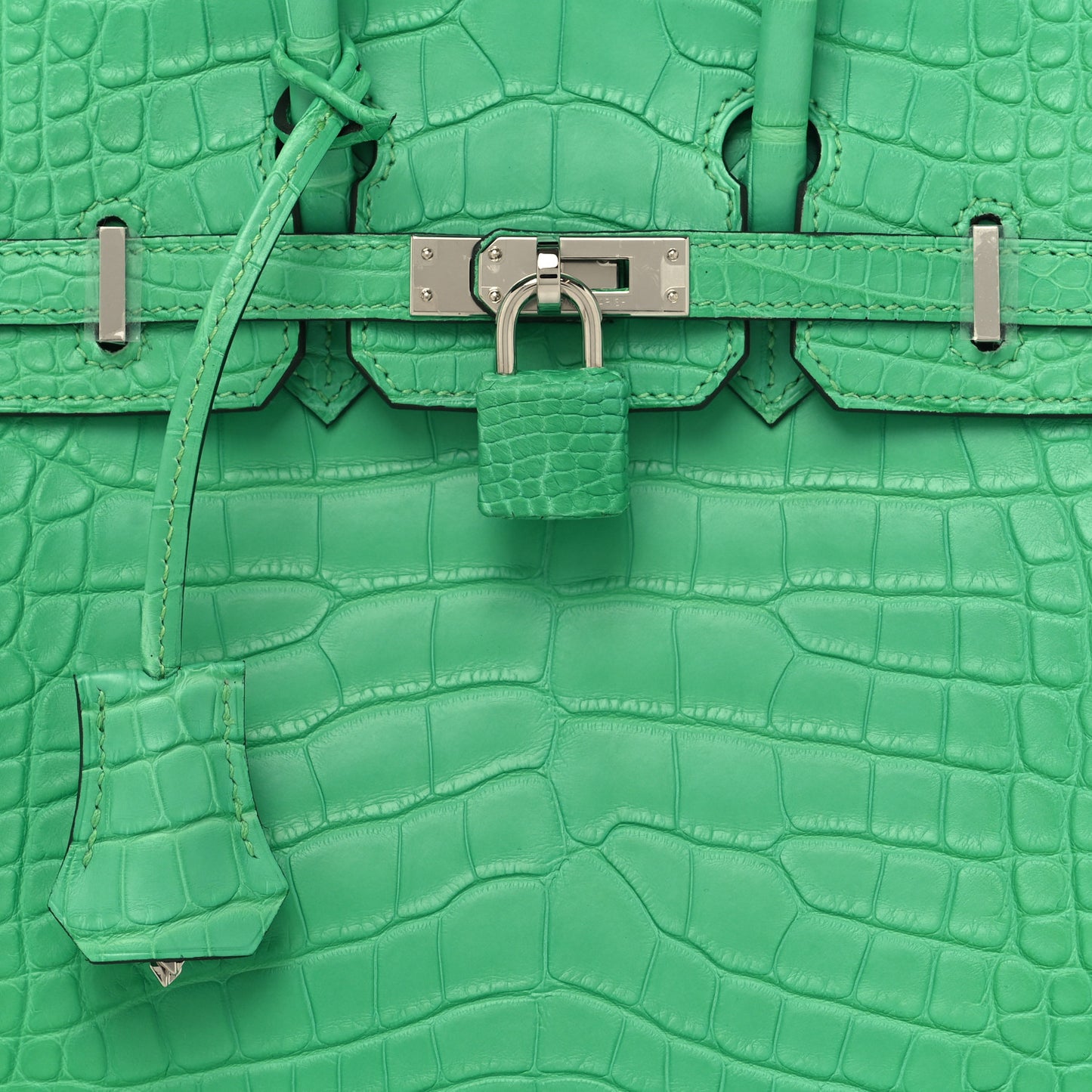 Matte Alligator Birkin 25 Vert Comics