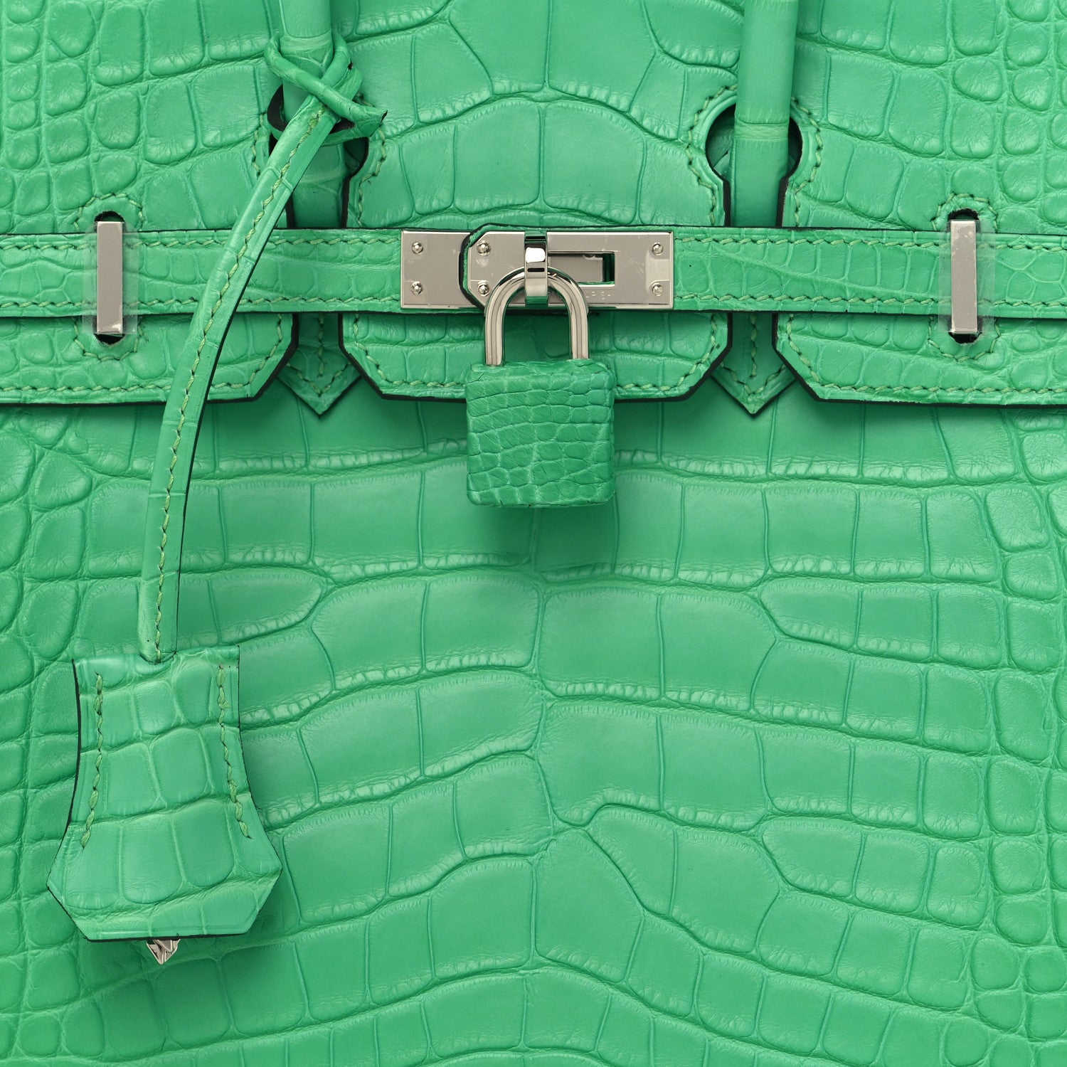 Hermes Matte Alligator Birkin 25 Vert Comics 8 of 13