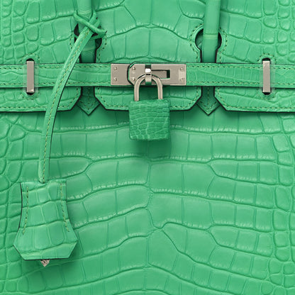 Hermes Matte Alligator Birkin 25 Vert Comics 8 of 13