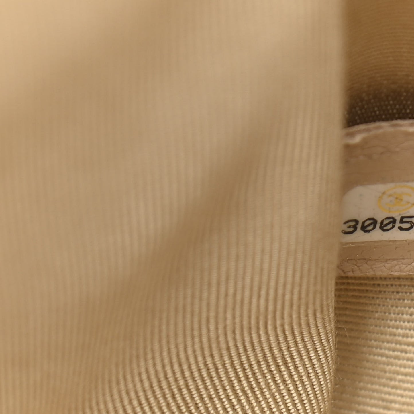 Lambskin Quilted Medium Chanel 19 Flap Beige