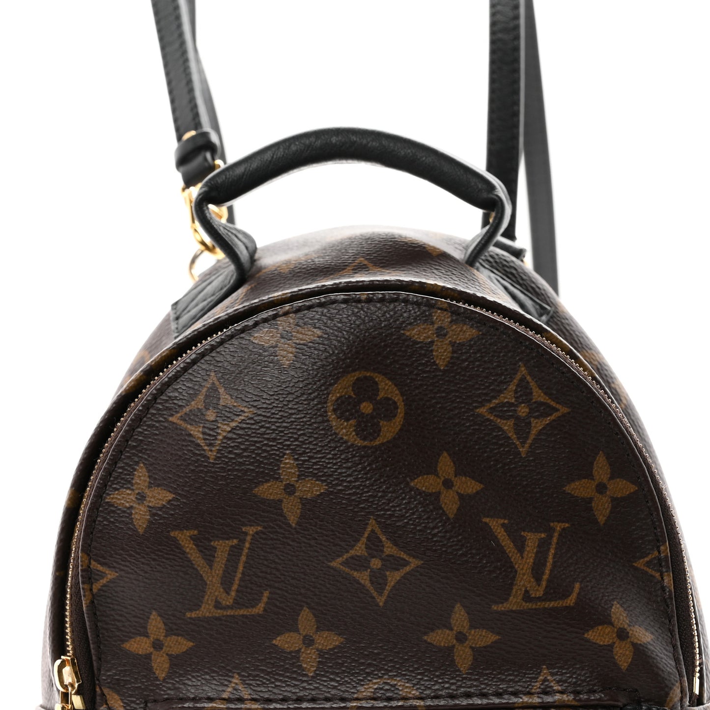 Monogram Palm Springs Backpack Mini
