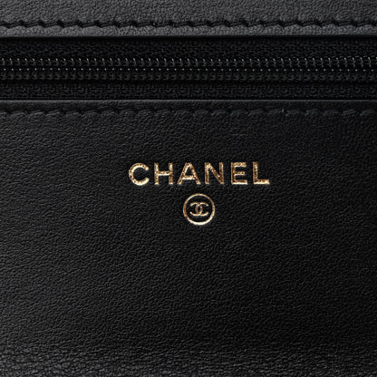Chanel Calfskin Quilted Perfect Fit Wallet On Chain WOC Black 5 of 9