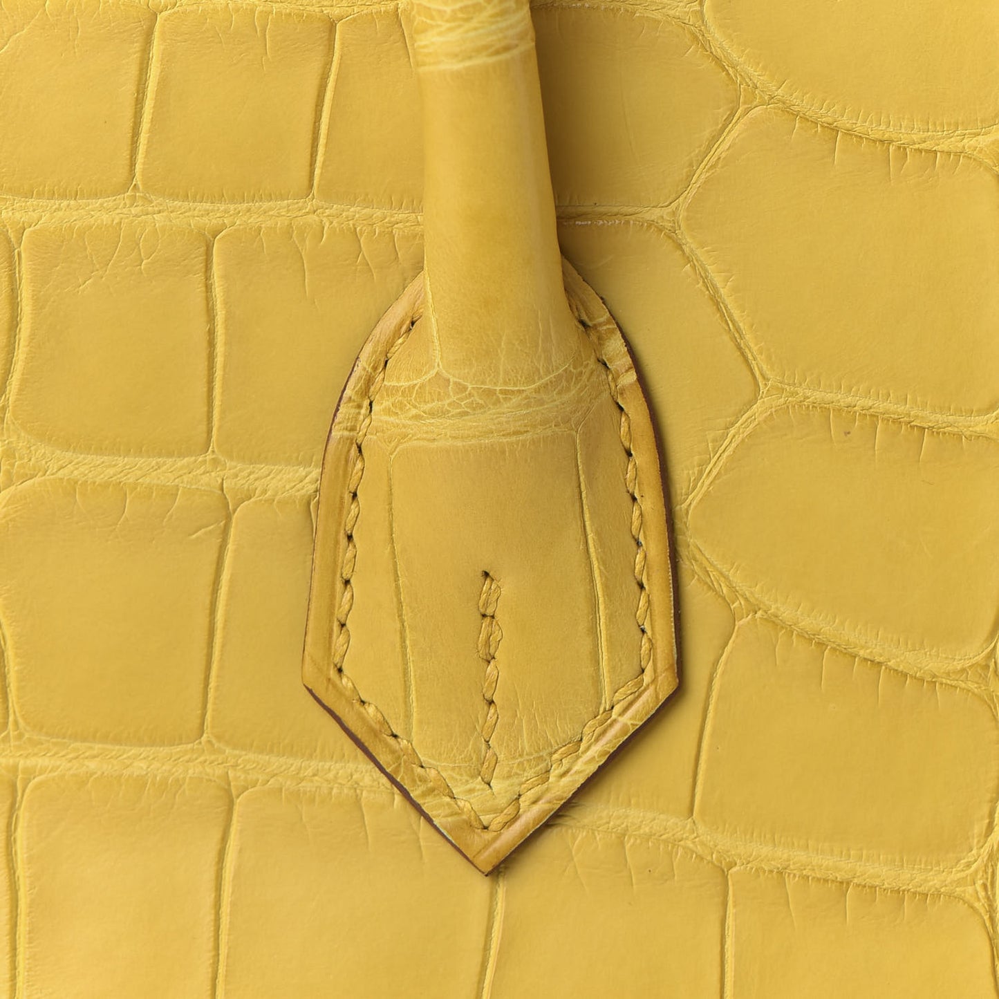 Matte Alligator Birkin 25 Jaune Ambre