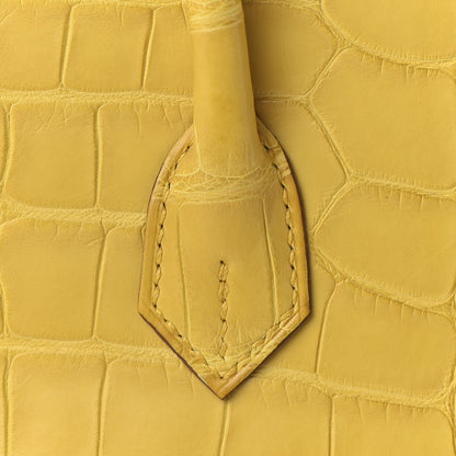 Hermes Matte Alligator Birkin 25 Jaune Ambre 10 of 33