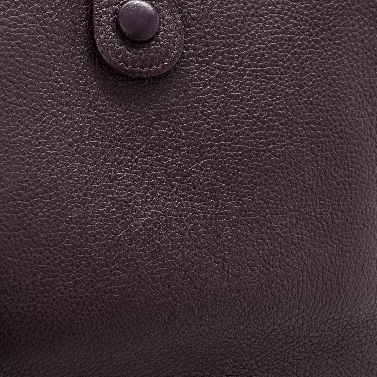 Taurillon Clemence Evelyne PM Raisin