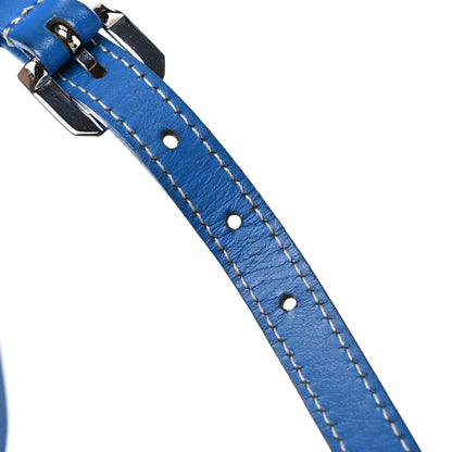 Goyard Goyardine Sac Cap Vert Sky Blue 14 of 14