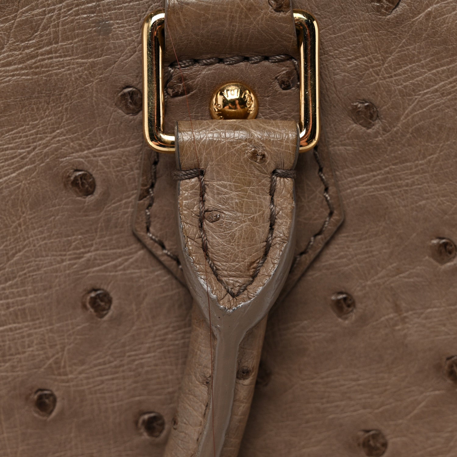 Louis Vuitton Ostrich Alma PM Gris 10 of 12