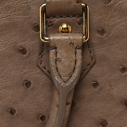 Louis Vuitton Ostrich Alma PM Gris 10 of 12