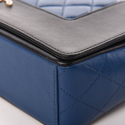 Chanel Sheepskin Quilted Vintage Mademoiselle Flap Blue Black 10 of 19