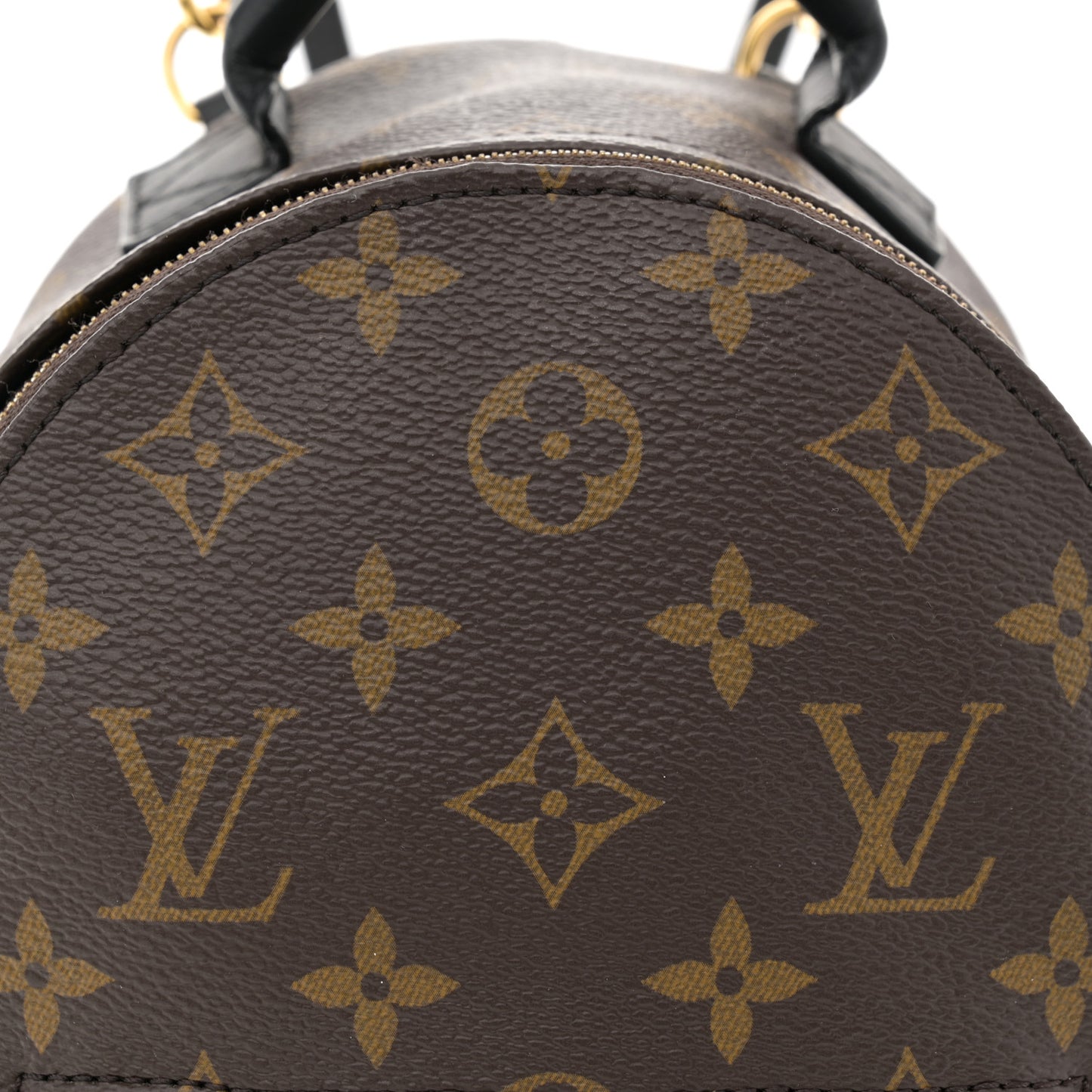 Monogram Palm Springs Backpack Mini