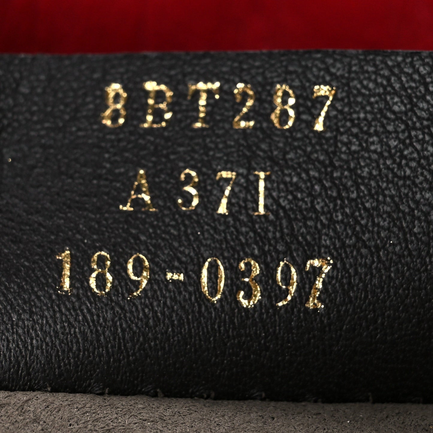 Vitello Century F is Fendi Camera Case Fiamma