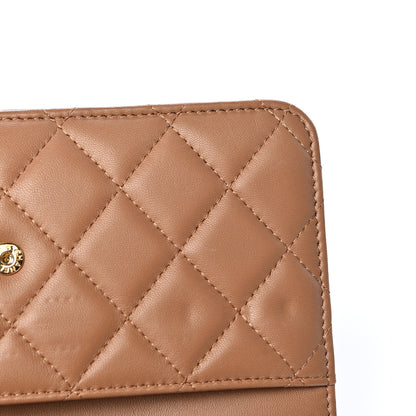 Chanel Lambskin Quilted Wallet on Chain WOC Dark Beige 16 of 23