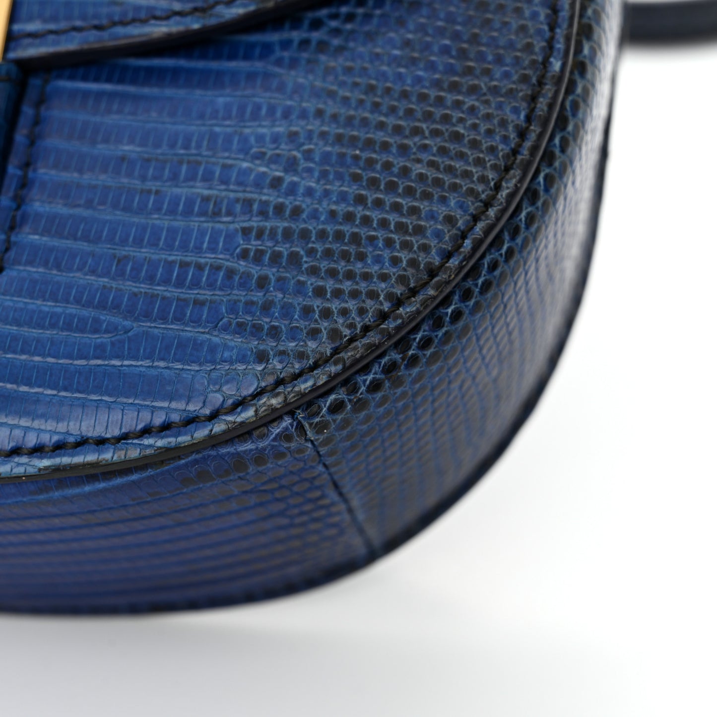 Lizard Small Trotteur Blue