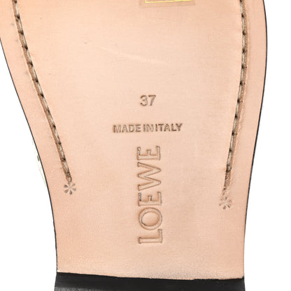 Loewe Brushed Calfskin Mary Jane Flats 37 Light Green 7 of 9