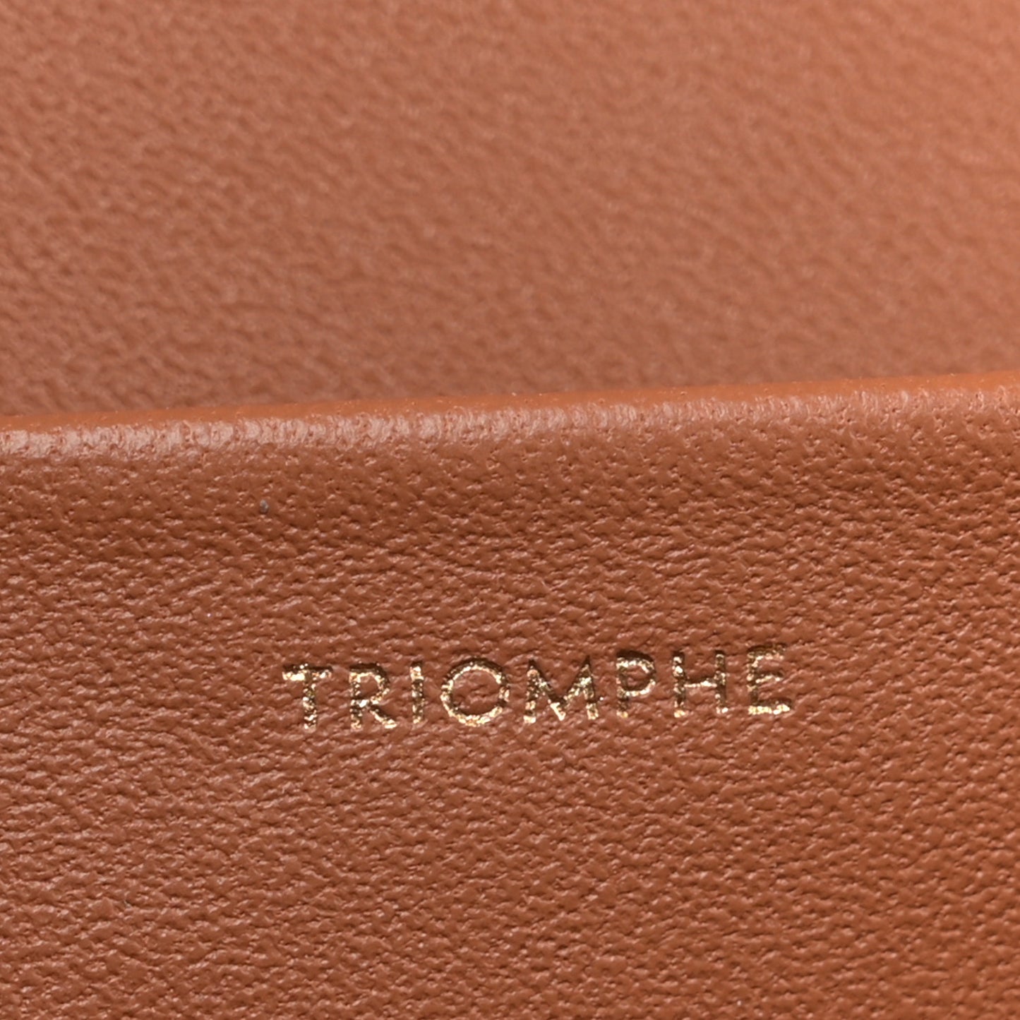 Triomphe Canvas Calfskin Medium Triomphe Bag Tan