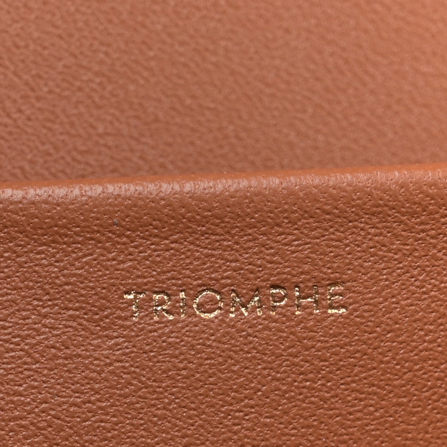 Celine Triomphe Canvas Calfskin Medium Triomphe Bag Tan 7 of 10