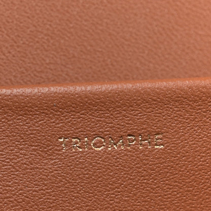 Celine Triomphe Canvas Calfskin Medium Triomphe Bag Tan 7 of 10