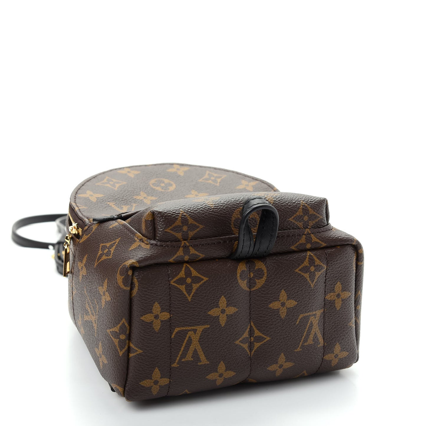 Monogram Palm Springs Backpack Mini