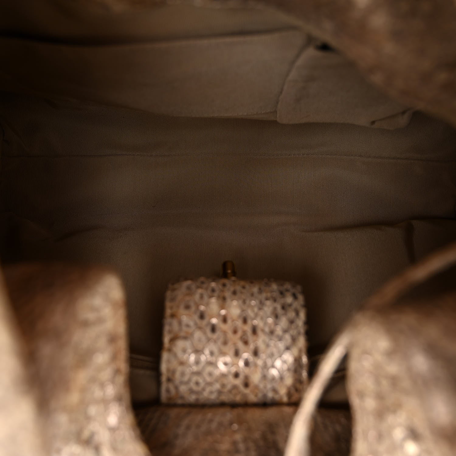 Chanel Snakeskin CC Hobo Beige 5 of 9