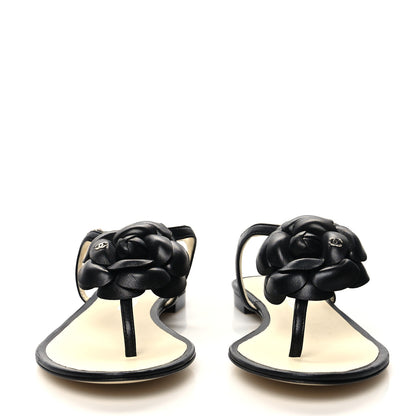 Chanel Lambskin Camellia Thong Sandals 35.5 Black 2 of 8