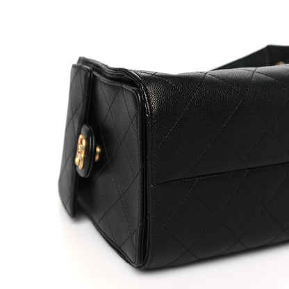 Chanel Caviar Quilted Small Chanel 25 Handbag Black 9 of 11