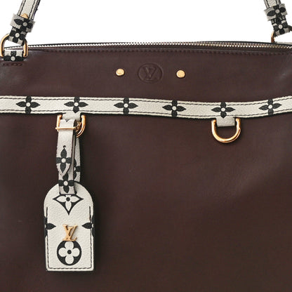 Louis Vuitton Calfskin Colored Monogram Speedy Amazon MM Chocolate White 7 of 14